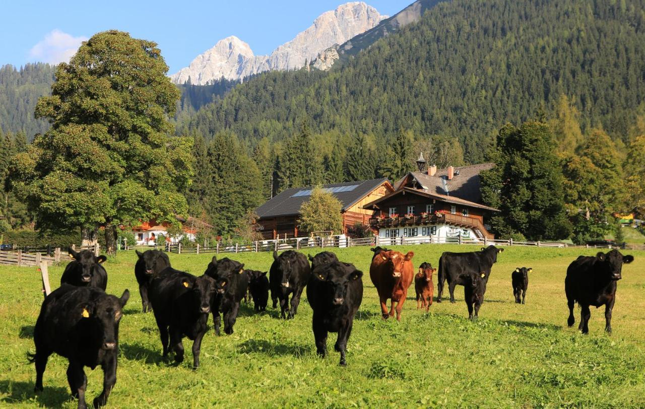 Hotel Laerchenhof Ramsau am Dachstein Dış mekan fotoğraf